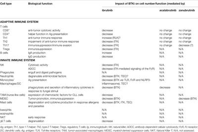 BTK Inhibitors in Chronic Lymphocytic Leukemia: Biological Activity and Immune Effects